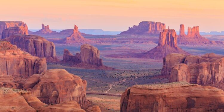 Heartbreaking Plague Outbreak Takes Life of Arizona Resident