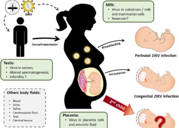 Unraveling the Effects of Zika Virus on Pregnancy Outcomes in the French Territories of the Americas