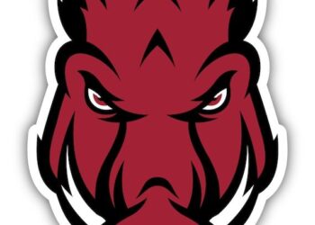 Razorbacks Soar to No. 13 in Exciting Preseason Softball Rankings!