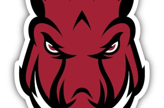 Razorbacks Soar to No. 13 in Exciting Preseason Softball Rankings!