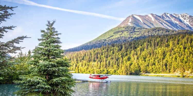 Alaska’s Economic Crossroads: How 2025 Will Shape the Future of Business in the Last Frontier