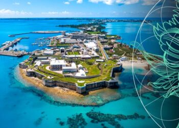 Peak Re Unveils Exciting New Bermuda Division to Capture US Casualty Market