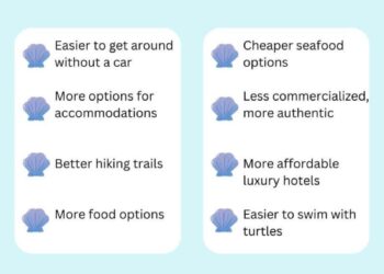 Thrilling Clash on the Horizon: Barbados and Aruba Unveil Their Line-ups for WC Qualifiers!