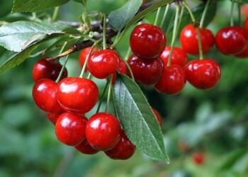 Sky’s the Limit: Discover How Six New Airports in the Americas Will Redefine Global Travel