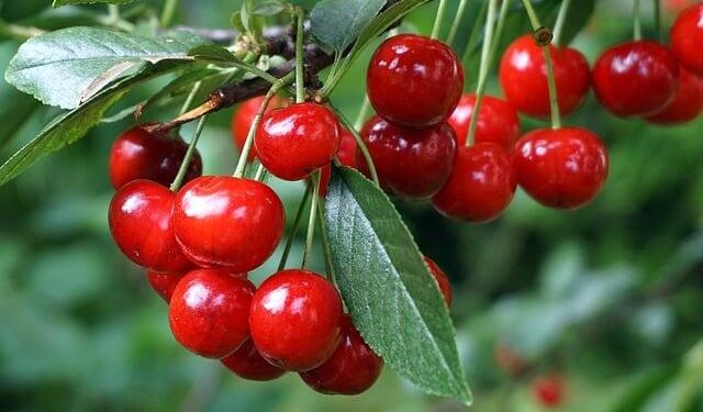 Sky’s the Limit: Discover How Six New Airports in the Americas Will Redefine Global Travel