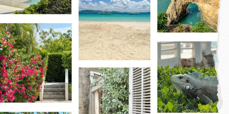 Anguilla Breaks Tourism Records with Unbelievable Arrival Surge!