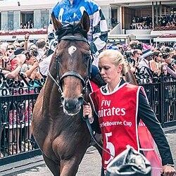 72-Year-Old Puerto Rican Jockey Makes History with Unforgettable Win!