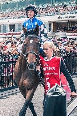 72-Year-Old Puerto Rican Jockey Makes History with Unforgettable Win!