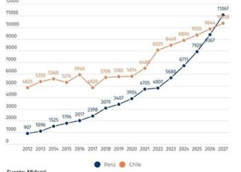 Peru Poised to Overtake Chile as South America’s Leading Fruit Exporter by 2025!
