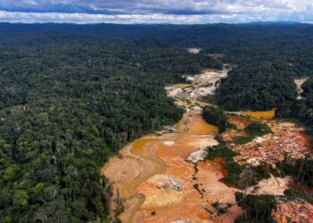 Revealing the Secret Routes of Illicit Gold into the Legal Market