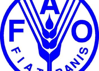 Uniting for Action: FAO Boosts Locust Emergency Response Across South America