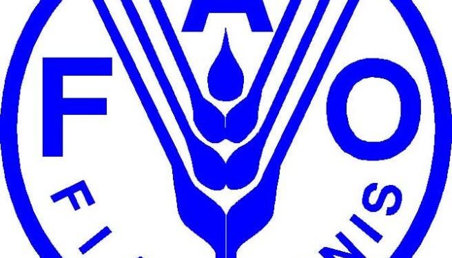 Uniting for Action: FAO Boosts Locust Emergency Response Across South America