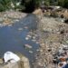 Turning the Tide: Latin America’s Inspiring Battle Against Plastic Pollution in the Motagua River and Galápagos Islands