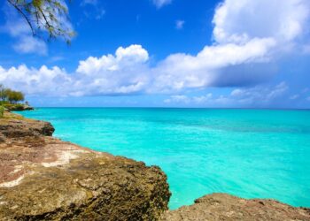 Unforgettable Barbados Summer Getaway: Must-Know Updates for an Epic Adventure!
