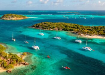 Grenada’s Foreign Minister Stands Up for Cuba’s Medical Missions Amid U.S. ‘Forced Labor’ Allegations