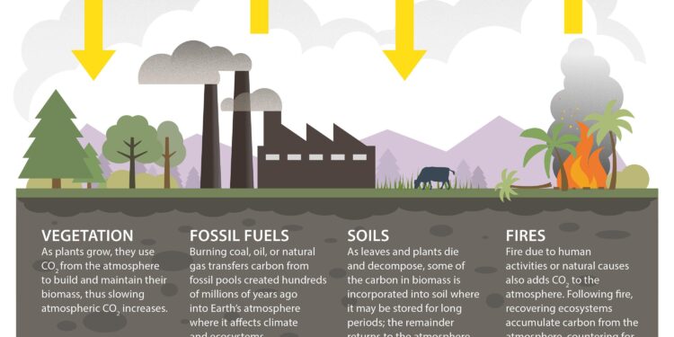 Unraveling the Crisis: How Human Emissions Ignited the Western US Megadrought