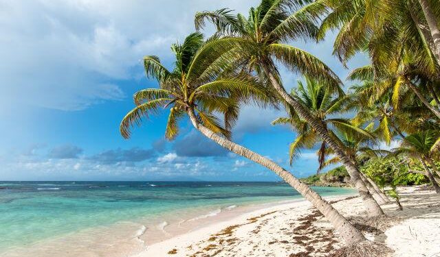 Catch Every Moment: Your Essential Guide to Watching Guadeloupe vs. Guatemala in the USA for the 2025 Gold Cup!