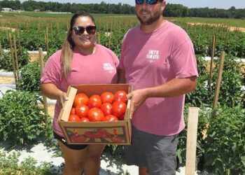How Mexico’s Tariff Could Revolutionize the Future for American Tomato Farmers