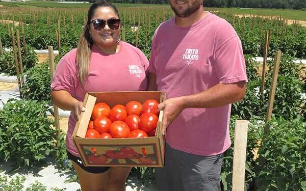 How Mexico’s Tariff Could Revolutionize the Future for American Tomato Farmers