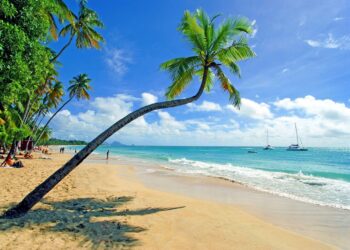 Martinique and American Airlines Forge Exciting New Partnership at Dallas Event!