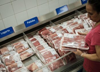 Brazil’s Beef Boom: JBS Fuels a Surge in U.S. Imports as Domestic Herds Decline
