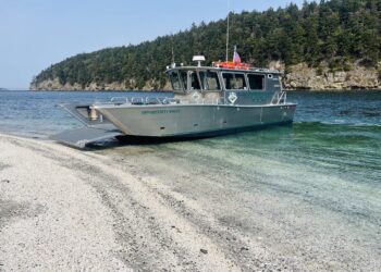 Uncover the Island Treasure: A Paradise Full of Possibilities!