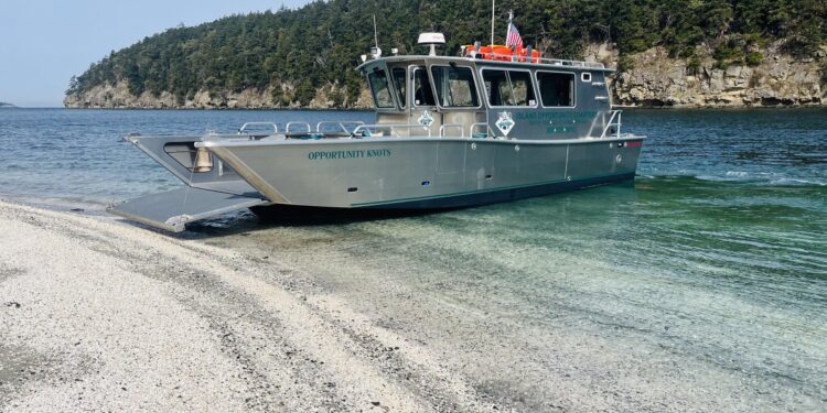 Uncover the Island Treasure: A Paradise Full of Possibilities!