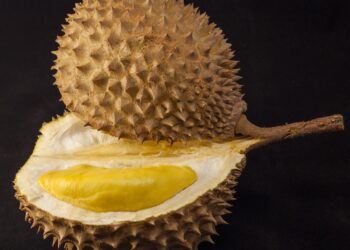 Embark on a Culinary Adventure: Unveiling the Unique Flavors of Puerto Rico Through Fragrant Fruits!