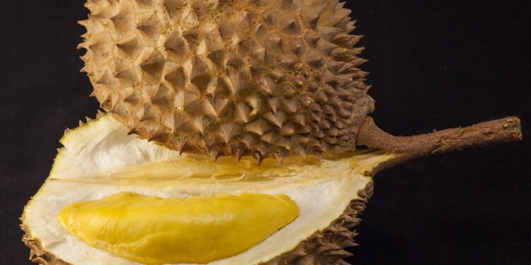 Embark on a Culinary Adventure: Unveiling the Unique Flavors of Puerto Rico Through Fragrant Fruits!