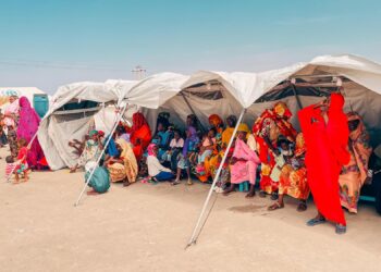 Resilience and Hope: How Refugees Are Transforming a Nation