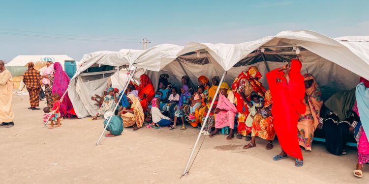 Resilience and Hope: How Refugees Are Transforming a Nation