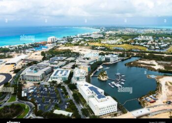 Cayman Businesses Unleash Creativity to Navigate US Tariffs