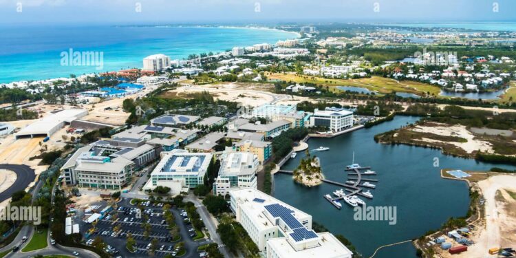 Cayman Businesses Unleash Creativity to Navigate US Tariffs