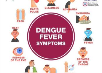 Rising Waters: The Alarming Link Between Climate Change and the Surge in Dengue Fever Deaths in the Caribbean and Americas