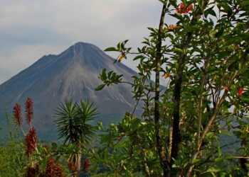 Embracing Pura Vida: Costa Rica’s Inspiring Journey Towards Sustainable Partnerships in the Gulf
