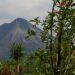 Embracing Pura Vida: Costa Rica’s Inspiring Journey Towards Sustainable Partnerships in the Gulf