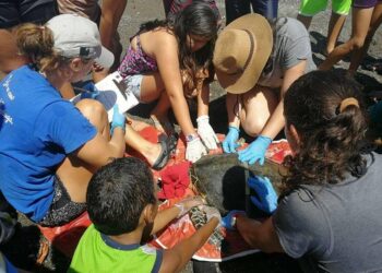 9 Life-Changing Lessons I Learned from Volunteering in Costa Rica