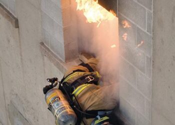 Revitalizing Argentina: A Bold Plan to Transform the Economy