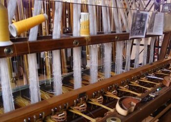 Fruit of the Loom Joins Forces with Grupo Lolita to Expand in South America!