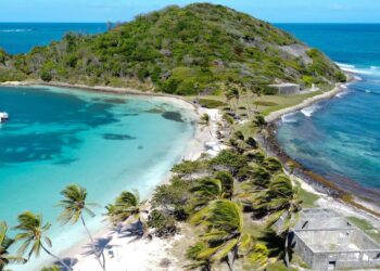 St. Vincent and the Grenadines Leader Faces Heat in Fiery Anti-Vaccine Mandate Protest