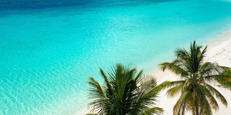 Could Petrocaribe Stage a Comeback? Caribbean Leaders Explore the Possibilities!