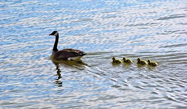 Arkansas Families Unite to Challenge Ten Commandments in Schools and Libraries