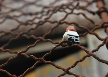 Unveiling the Truth: Escaped Prisoners Share Shocking Secrets Behind American Yacht Owners’ Murders in St. Vincent