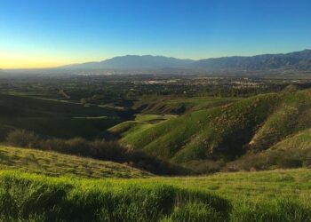 Transforming Tomorrow: USC’s Vision for the Future of Education