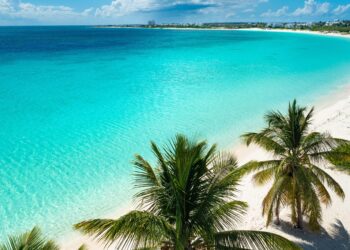 Caribbean Clash: France’s Daring Fight Against the Cocaine Trade