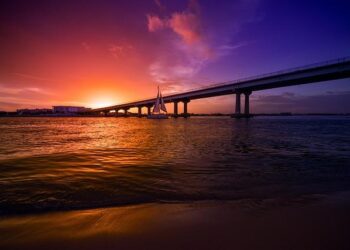 Meet Ryan Williams: Alabama’s Freshman Sensation Making Waves as an All-American!