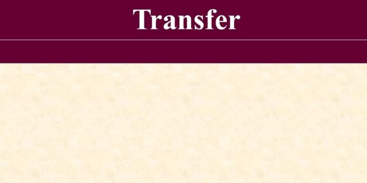 Discovering New Horizons: The Unexpected Journey of US-Brazil Tech Collaboration