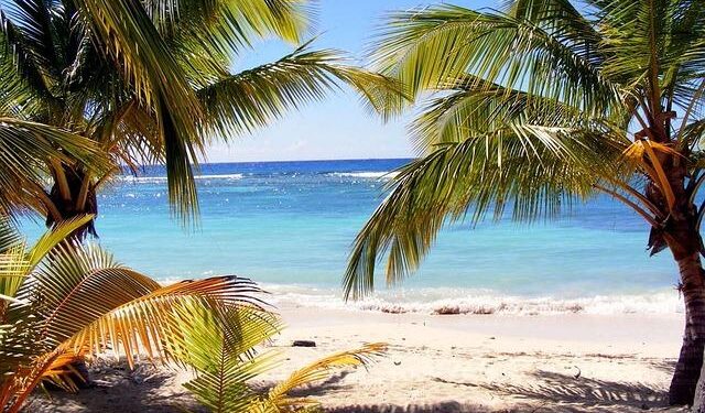 Discover Dominica: The Emerging Gem of Travel and Culture!