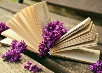 Embracing Open Banking: A Pathway to Financial Freedom in Latin America