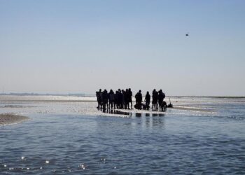 Unlocking the Secrets of Homeownership: Explore the Latest Trends in Median Home Values for 2020 Island Areas!